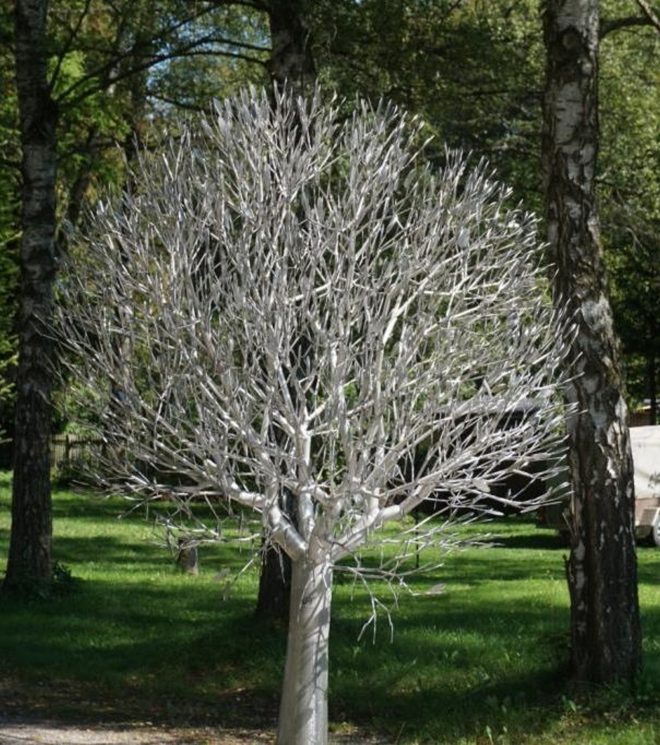 Jahreszeitenbaum