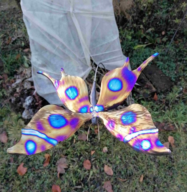 Titan Schmetterling