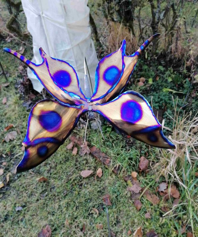Titan Schmetterling
